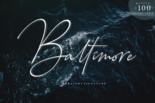Baltimore Family: The Signature Typeface for Modern Branding