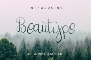 Beautype Font Review: Elevating Campaign Visuals