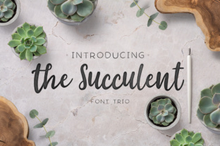 Branding with The Succulent Trio Script Handwritten Font