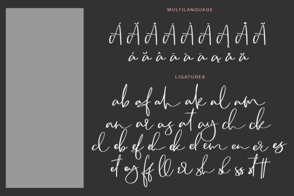 Designing a Fresh Brand Identity with Camsay Font