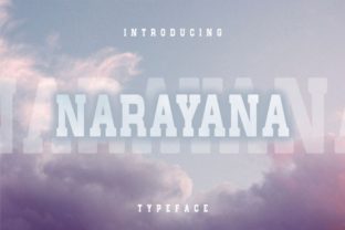 Narayana: The Bold Serif Font for Striking Campaigns