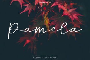 Pamela Script Font: Elevate Your Brand with Elegant Typography