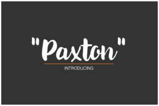 Paxton Font: A Chic Handwritten Typeface for Branding