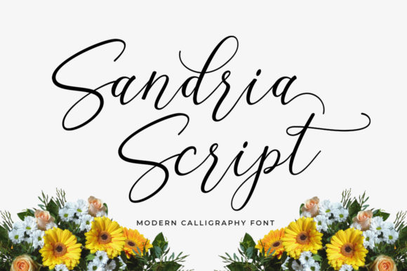 Sandria Script: A Trendy Typeface for Modern Branding