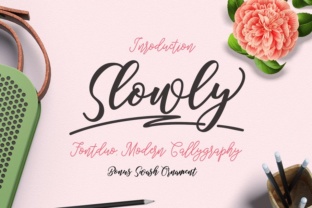 Slowly Font: Elegant Script for Small Business Branding