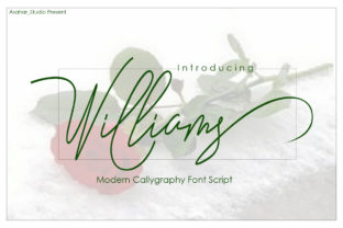 Williams: A Bold Script Font for Elegant Branding
